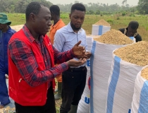 DDA AND DIST. PPRSD OFFICER INSPECTING THE QUALITY OF AGRA SEED PRODUCED AT LAYWERKROM