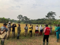 DDA RICE DEMO FIELD VISIT ON THE USE OF ORGANIC LIQUID FERTILIZER AT MENANG JUNCTION