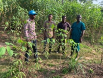 DIST. EXTENSION OFFICER AND PPRS OFFICER FIELD VISIT AT SWEDRU