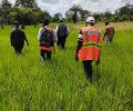 ADANSI SOUTH DISTRICT TO ASSESS THE PROGRESS OF RICE FARMING ACTIVITIES WITHIN THE COMMUNITY