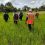 ADANSI SOUTH DISTRICT TO ASSESS THE PROGRESS OF RICE FARMING ACTIVITIES WITHIN THE COMMUNITY